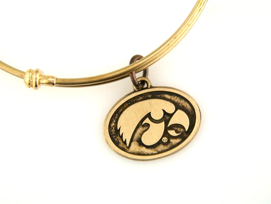 Iowa Expandable Charm Bracelet