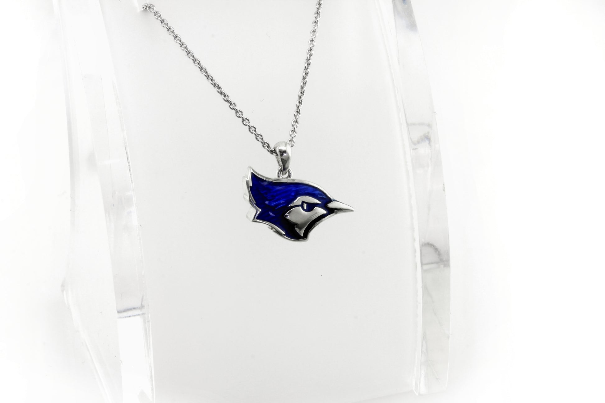 Penn Sterling Silver Necklace with Enamel Charm